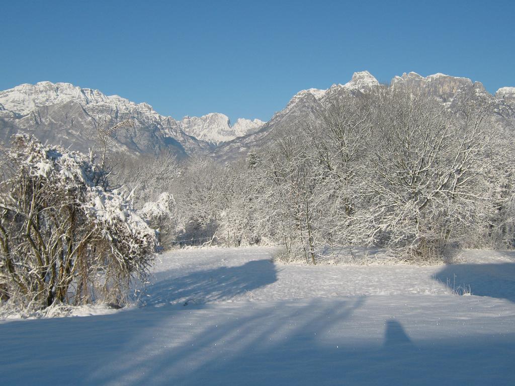 B&B Col Del Vin Belluno Buitenkant foto