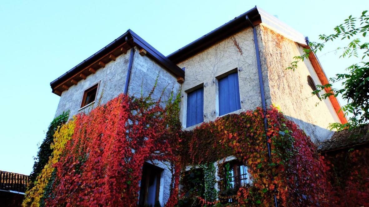 B&B Col Del Vin Belluno Buitenkant foto