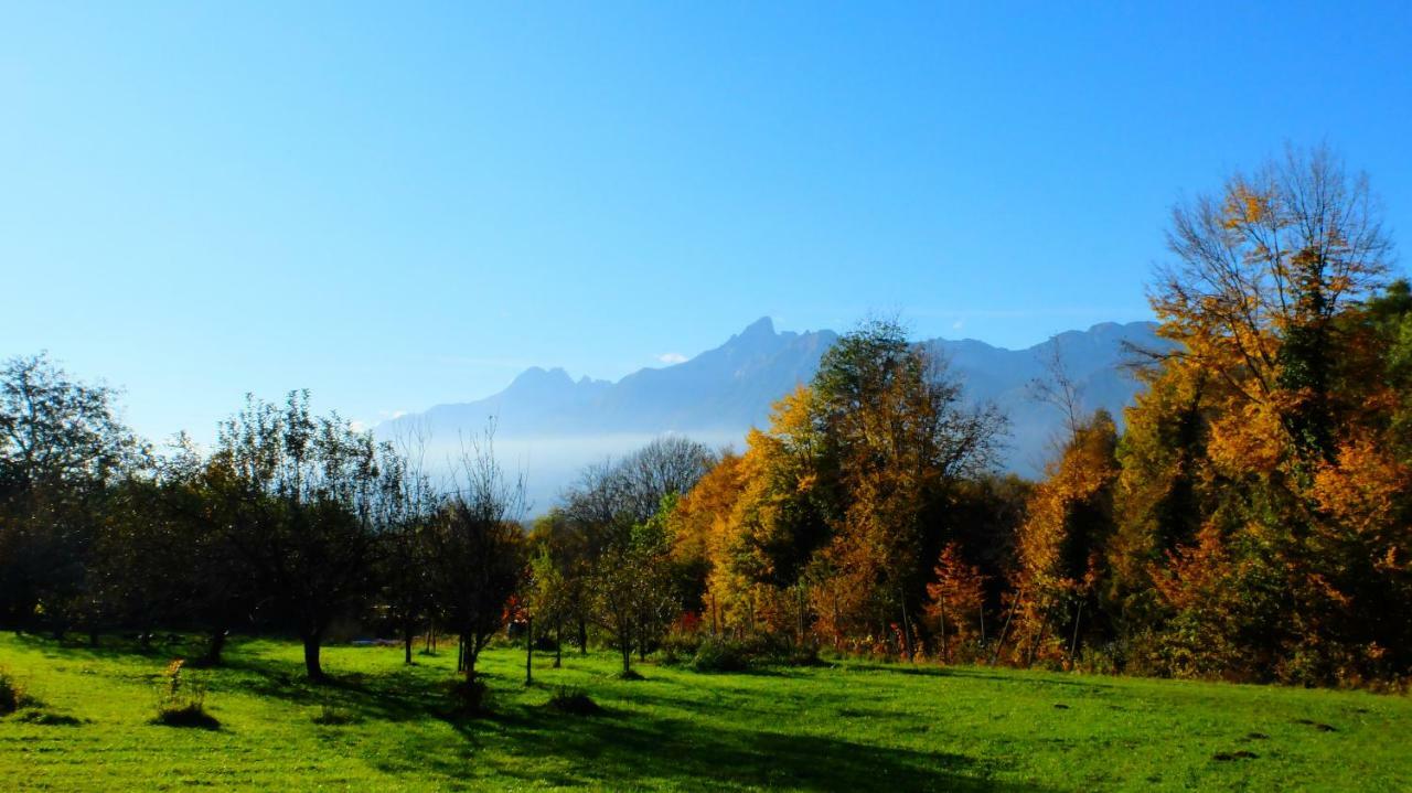 B&B Col Del Vin Belluno Buitenkant foto